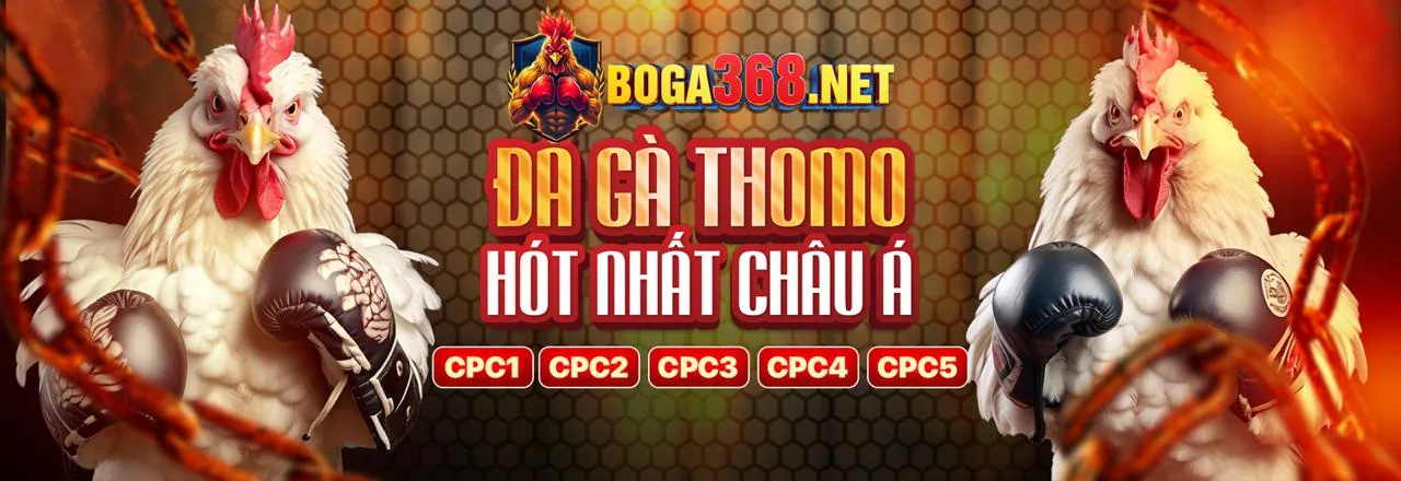 Đá gà trực tuyến MU88 - Trận đấu kịch tính